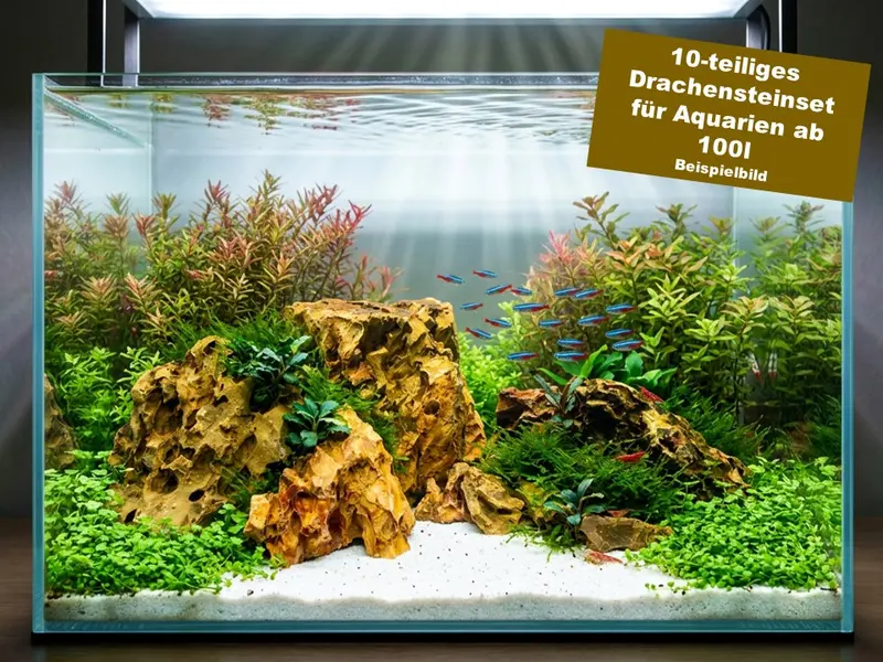 Drachenstein-Set für 100l Aquarium