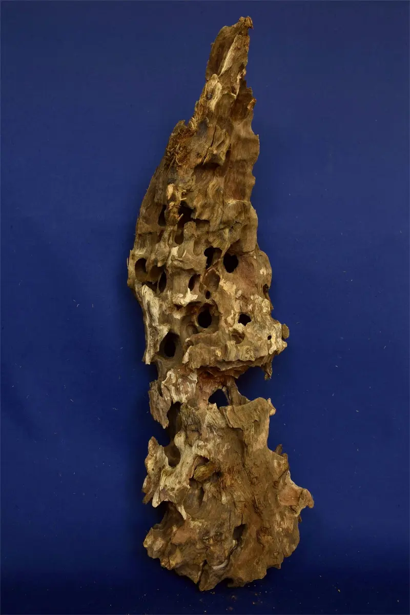 Dragon Wood, Drachenholz, Aquarium Wurzel, DR03
