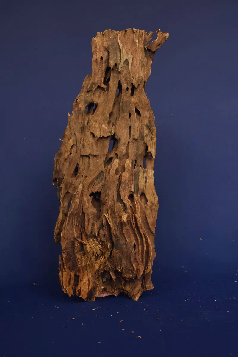 Dragon Wood, Drachenholz, Aquarium Wurzel, DR11