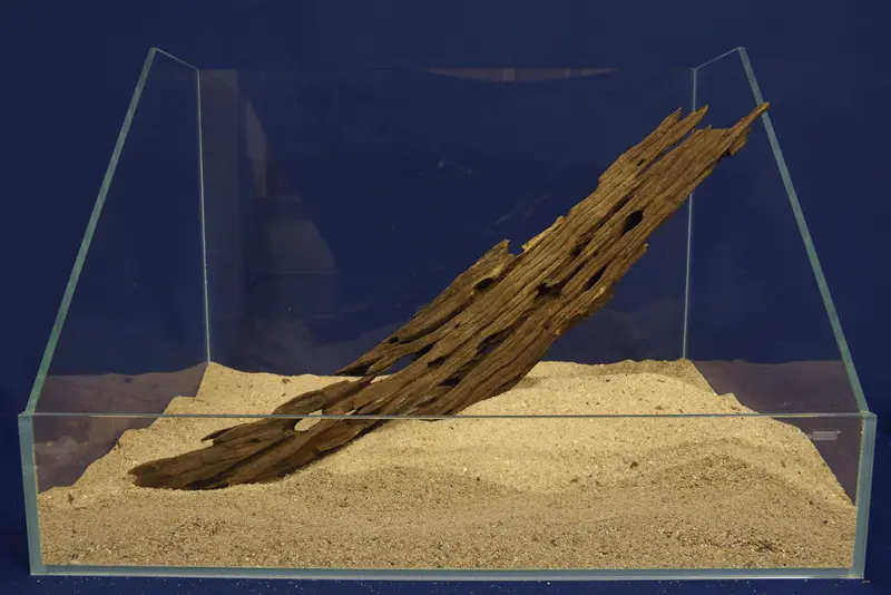 Dragon Wood, Drachenholz, Aquarium Wurzel, DR16