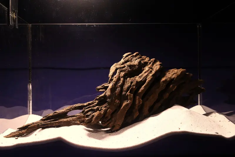Dragon Wood, Drachenholz, Aquarium Wurzel, DR17