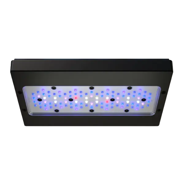 EcoTech Marine Radion XR 30 G6 BLUE