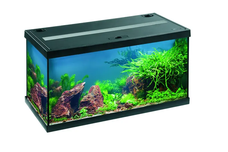 EHEIM aquastar 54 LED Aquarium-Komplettset – Schwarz