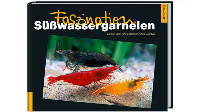 Faszination Süßwassergarnelen
