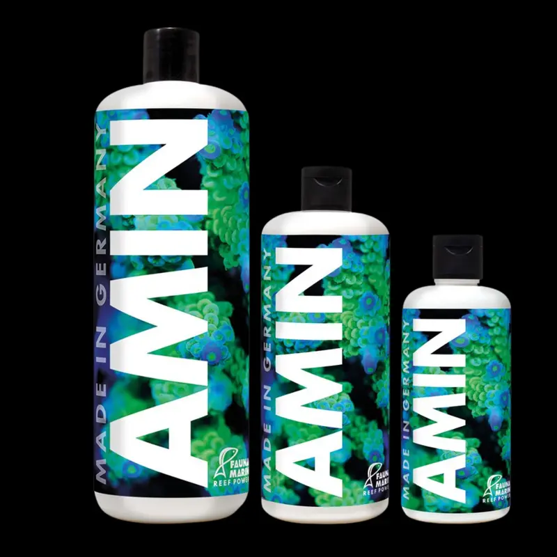 Fauna Marin Amin