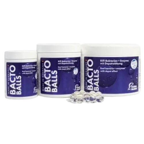 Fauna Marin Bacto Balls