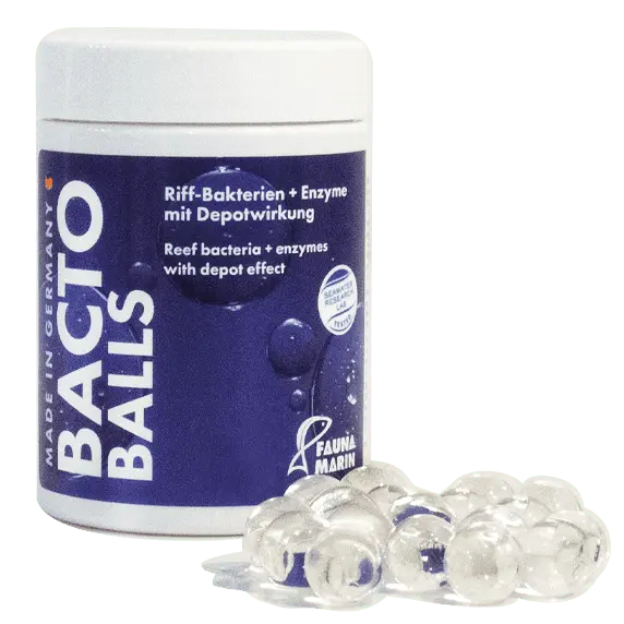 Fauna Marin Bacto Reef Balls