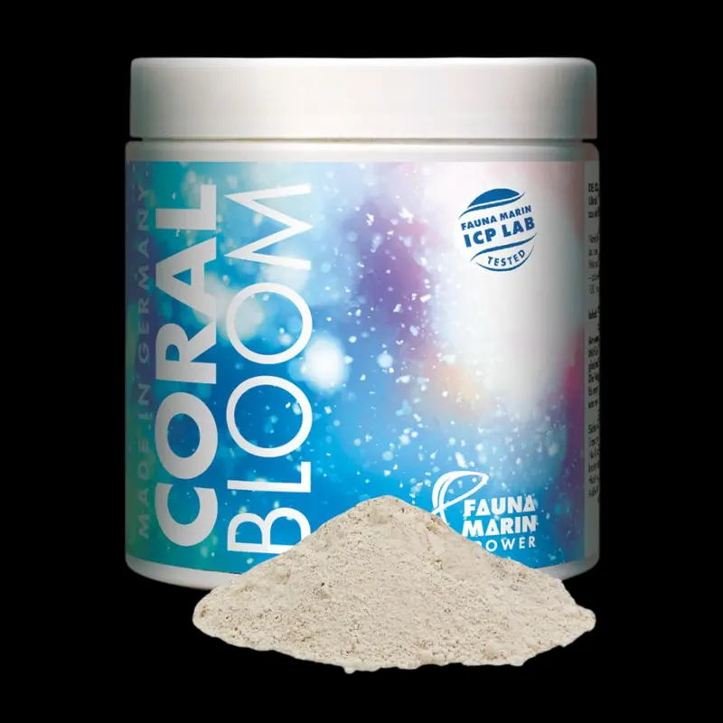 Fauna Marin Coral Bloom
