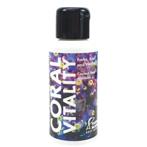 Fauna Marin Coral Vitality