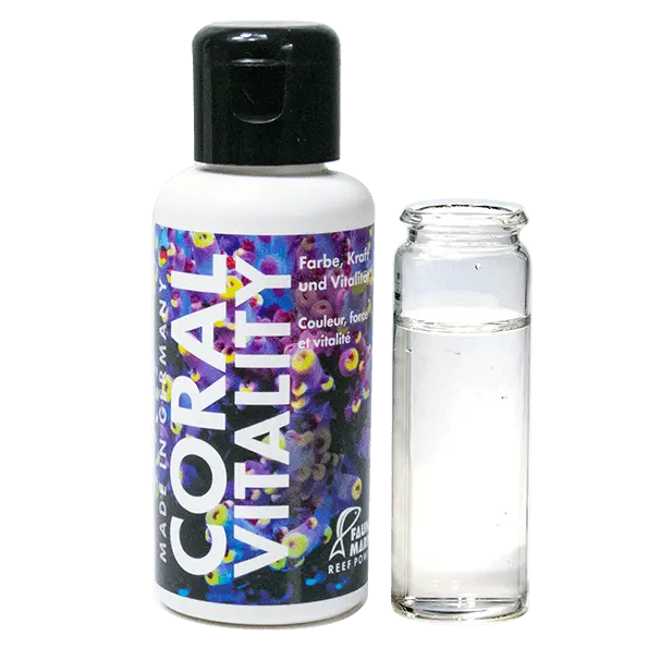 Fauna Marin Coral Vitality