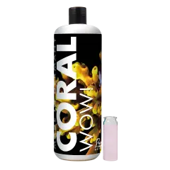 Fauna Marin CORAL WOW