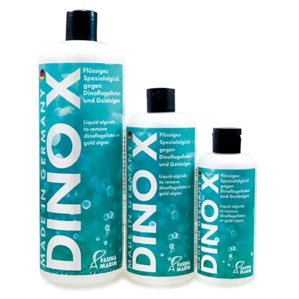 Fauna Marin Dino X