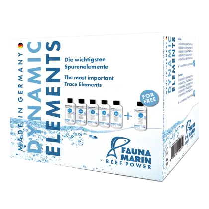 Fauna Marin Dynamic Elements