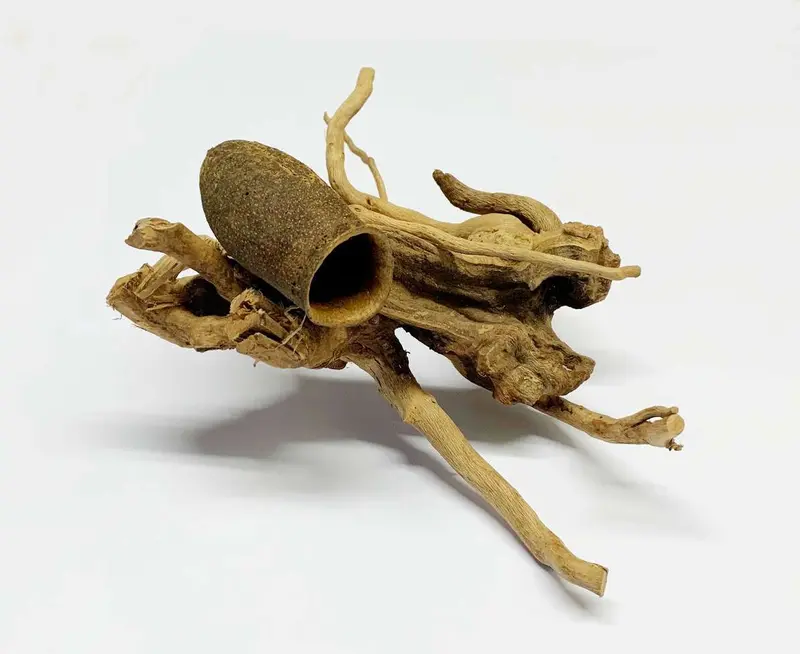Fingerwood ca. 20cm mit SeraFino Höhle