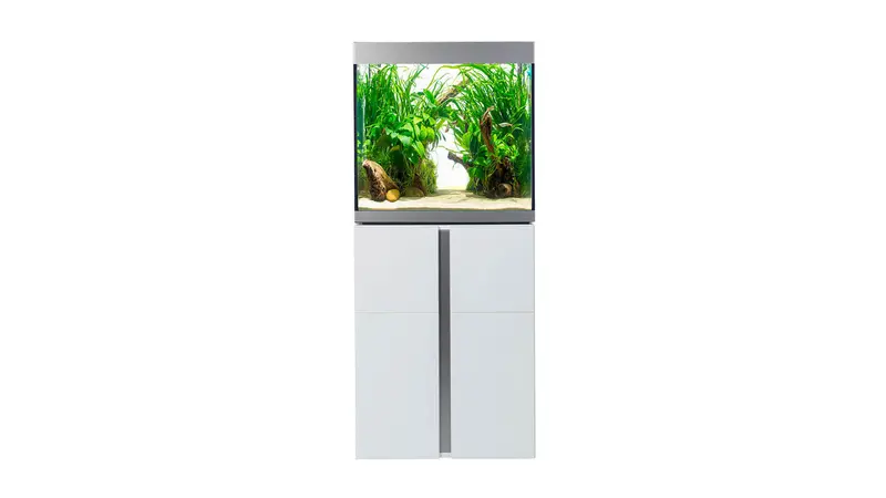 Fluval - Siena Serie Aquarium - Schneller und kostenloser Versand!