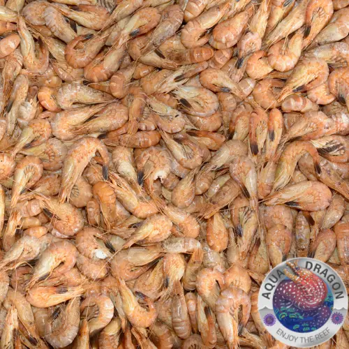 Frostfutter Garnellen 200gr