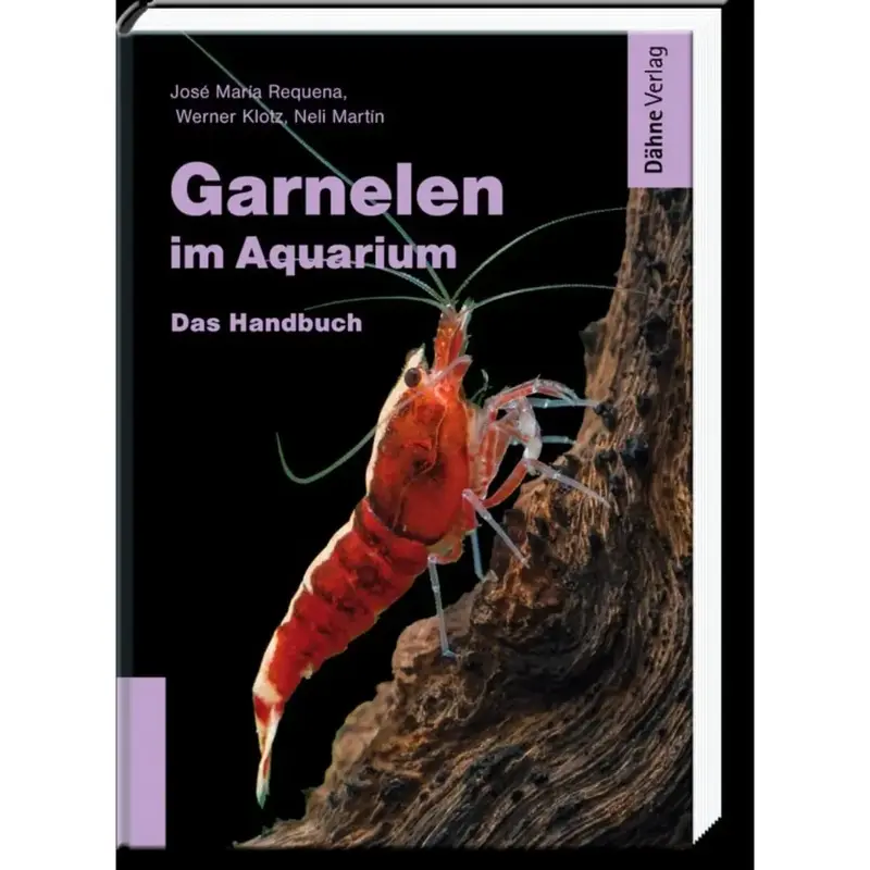 Garnelen im Aquarium