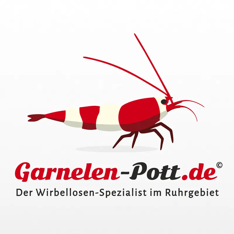 Garnelen-Pott.de Geschenkgutschein