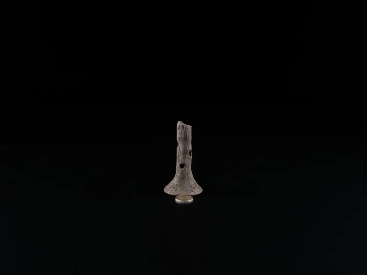 Garnelenstamm