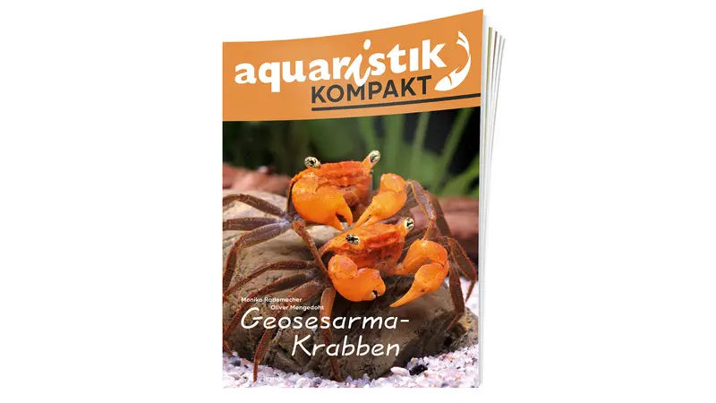 Geosesarma-Krabben - Monika Rademacher und Oliver Mengedoht | aquaristik KOMPAKT