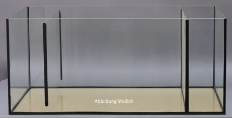 Glas-Filterbecken für Reeftank