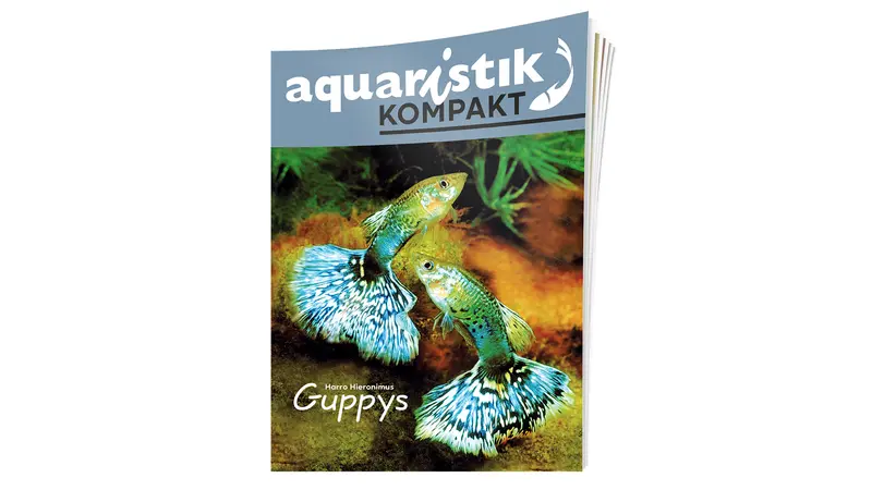 Guppys - Harro Hieronimus | Magazin
