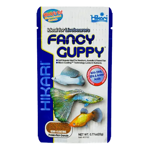 Hikari Fancy Guppy