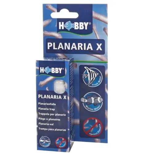 Hobby Planaria X Planarienfalle