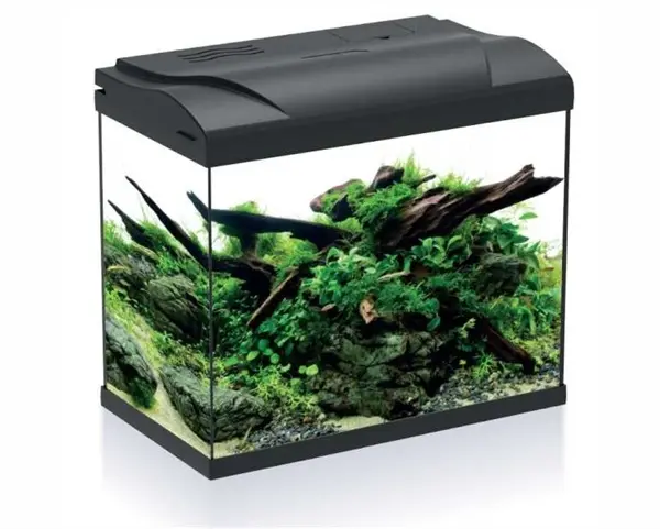 HS-aqua aquarium platy 30 black LED