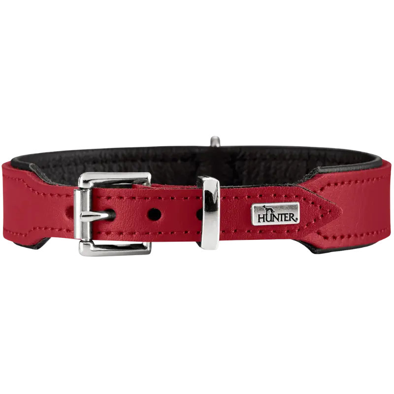 Hunter Halsband Basic