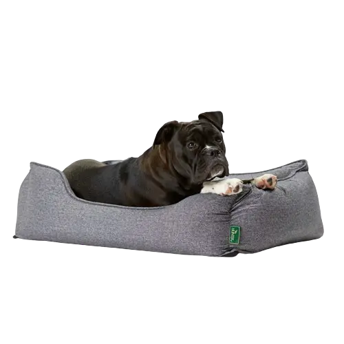 HUNTER Hundesofa Boston