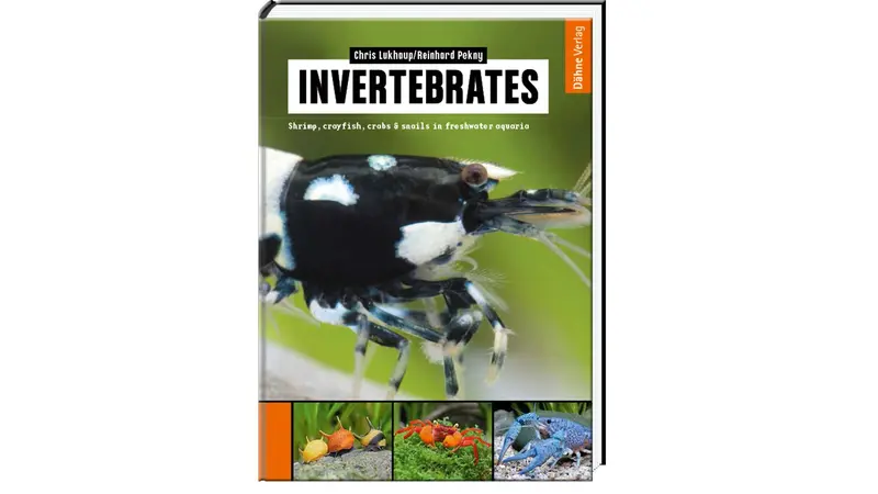 Invertebrates | Shrimps and more book