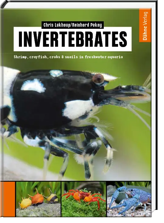 Invertebrates