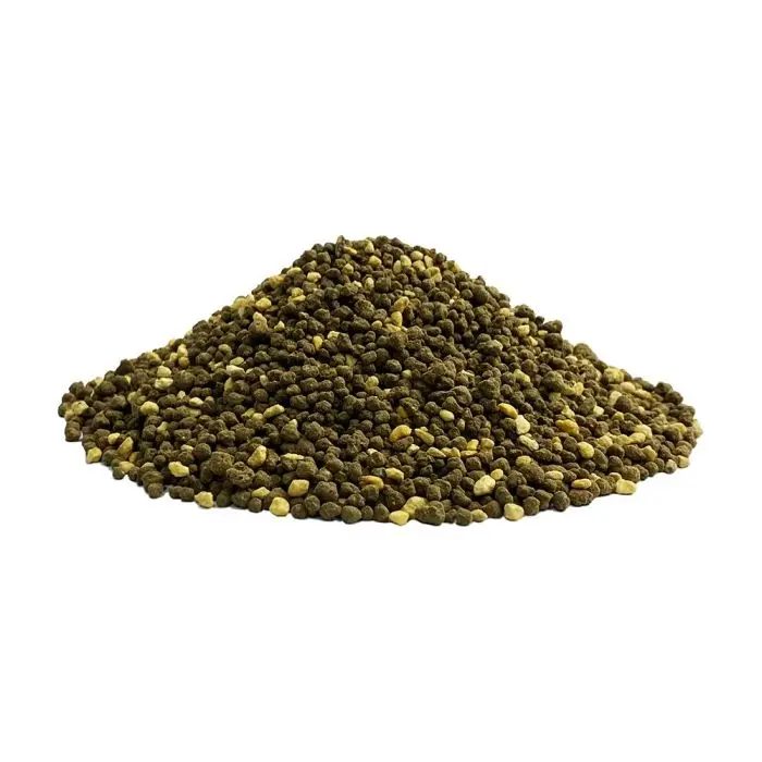 J. Green Soil Moss Ball Terrarium