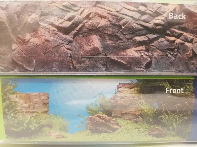 Juwel Fotorückwand Plant / Reef XL Poster Rückwand 150x60cm Aquarium
