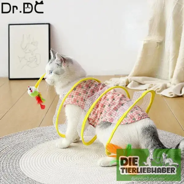 Katze Outdoor Katzenspielzeug