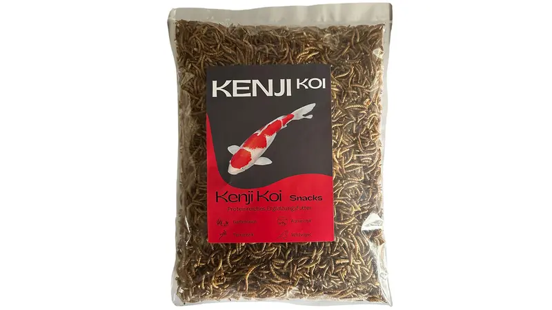 KENJI KOI Snack - Mehlwürmer