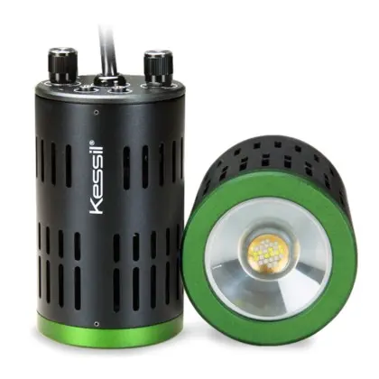 Kessil LED A160 WE SUN Süßwasser