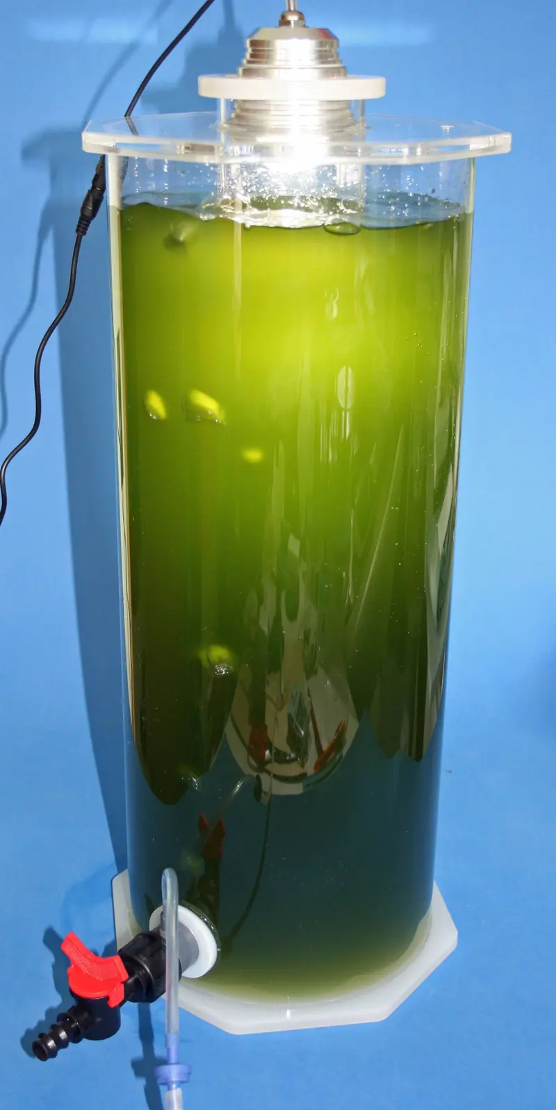 Knepo Planktonreaktor - 6 Liter