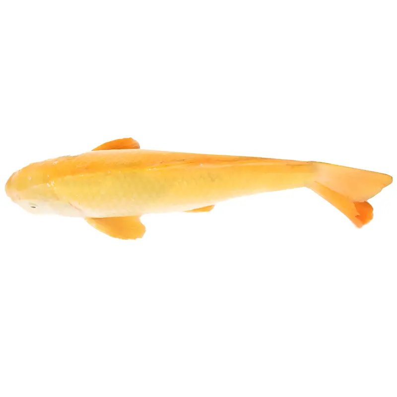 Koi - 50cm
