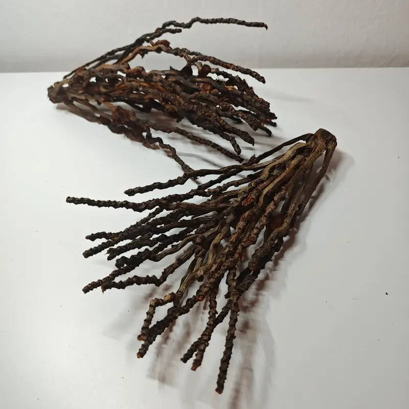 Kokosrispen Naturdeko 30-50cm