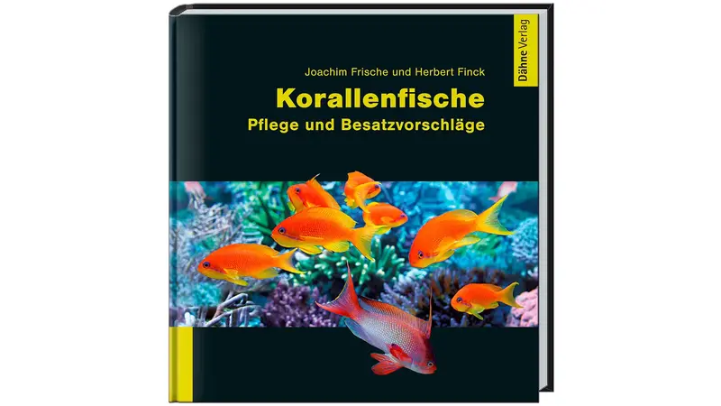 Korallenfische | Pflege und Besatzvorschläge