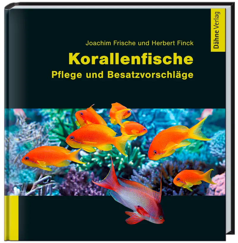 Korallenfische