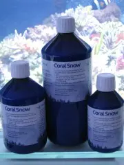 Korallenzucht.de Coral Snow