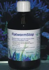 Korallenzucht Flatworm Stop