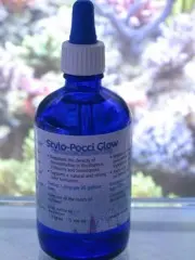 Korallenzucht Stylo Pocci Glow