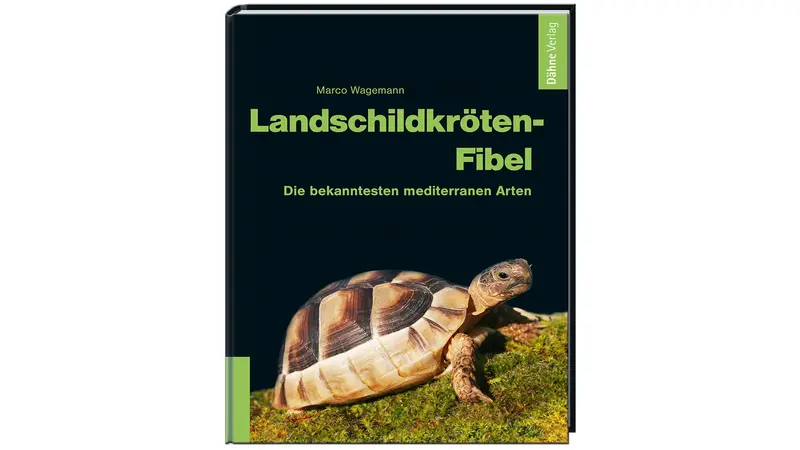 Landschildkröten-Fibel