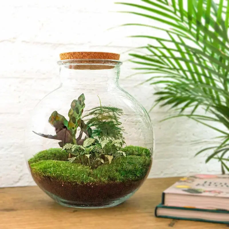 Leuchtendes Mini-Biotop