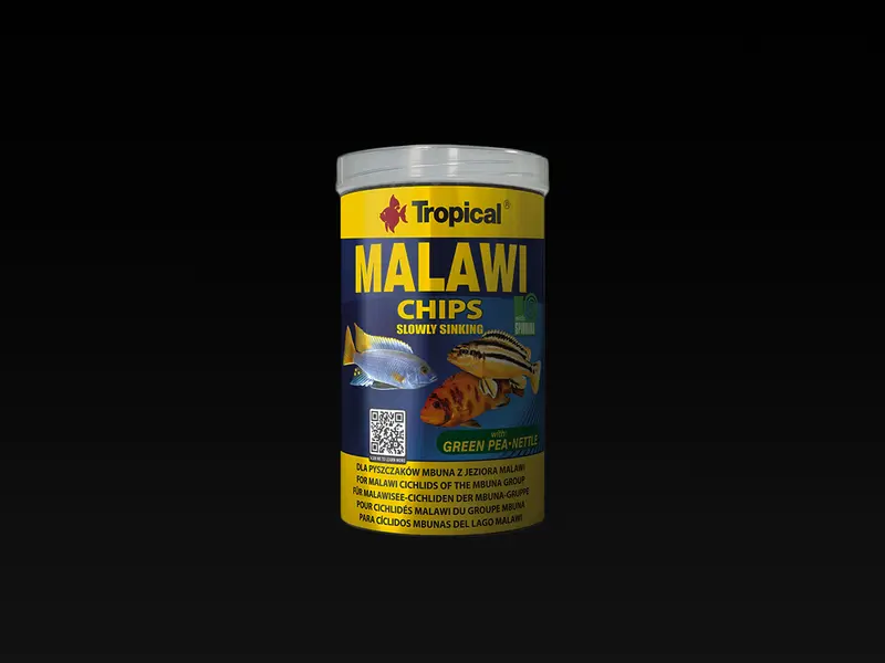 Malawi Chips