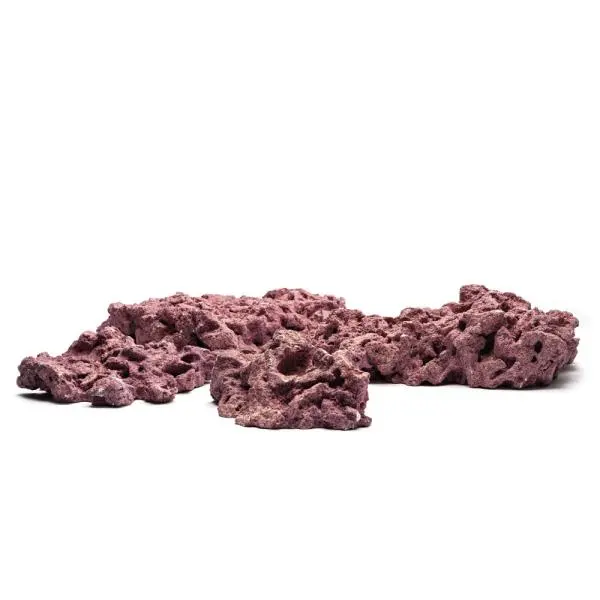 Marco Foundation Rock Coralline